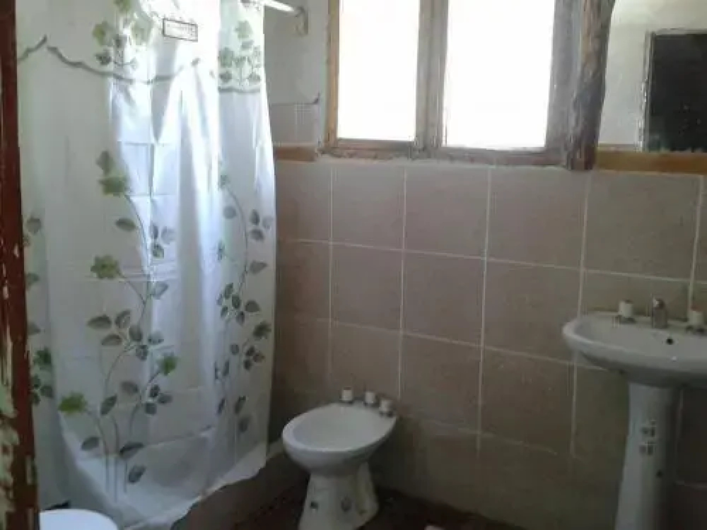 Hostel Andino