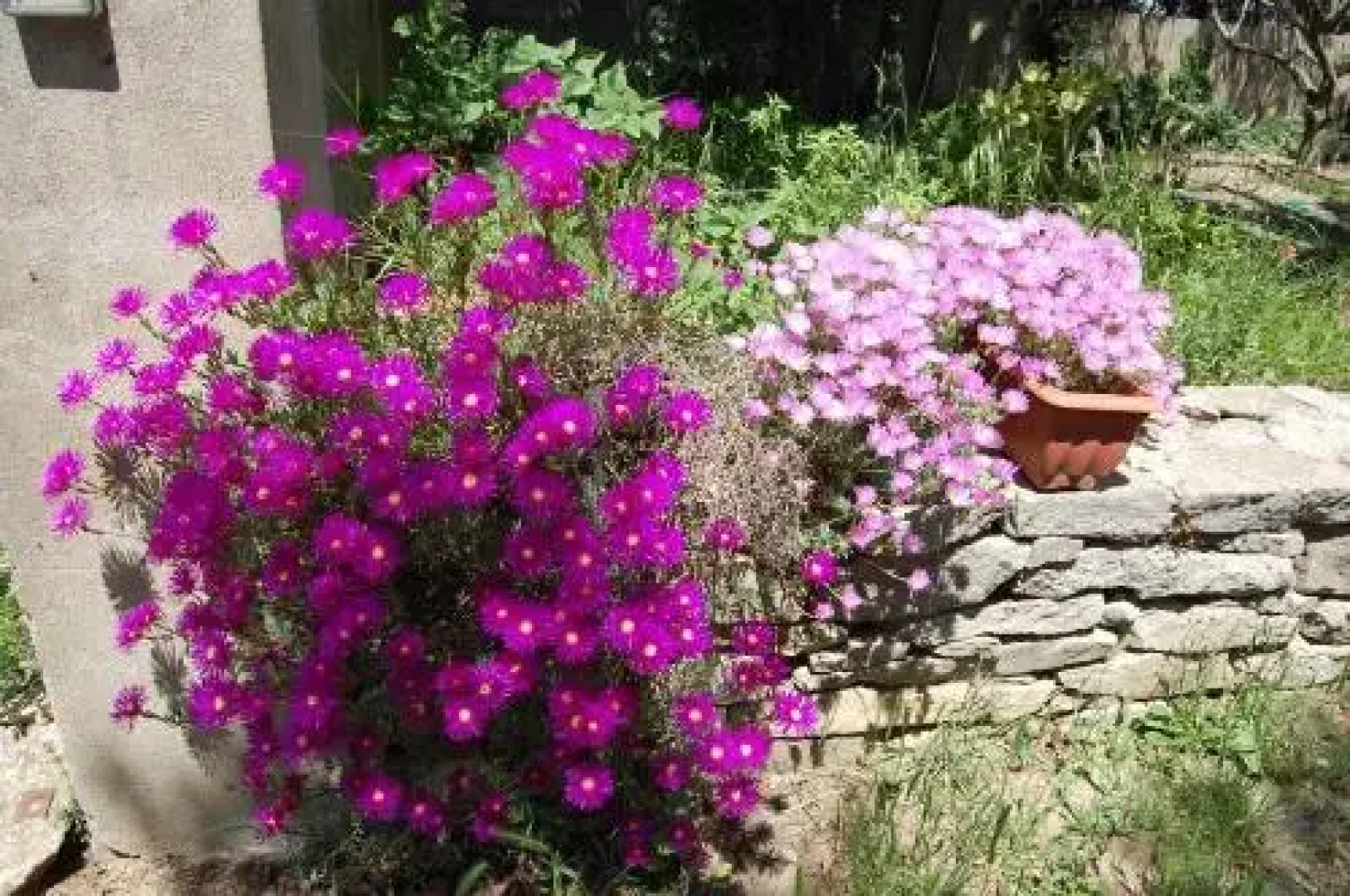 Agriturismo Furfullanu