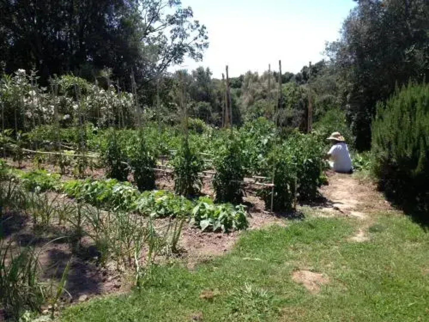 Casa Fiorita