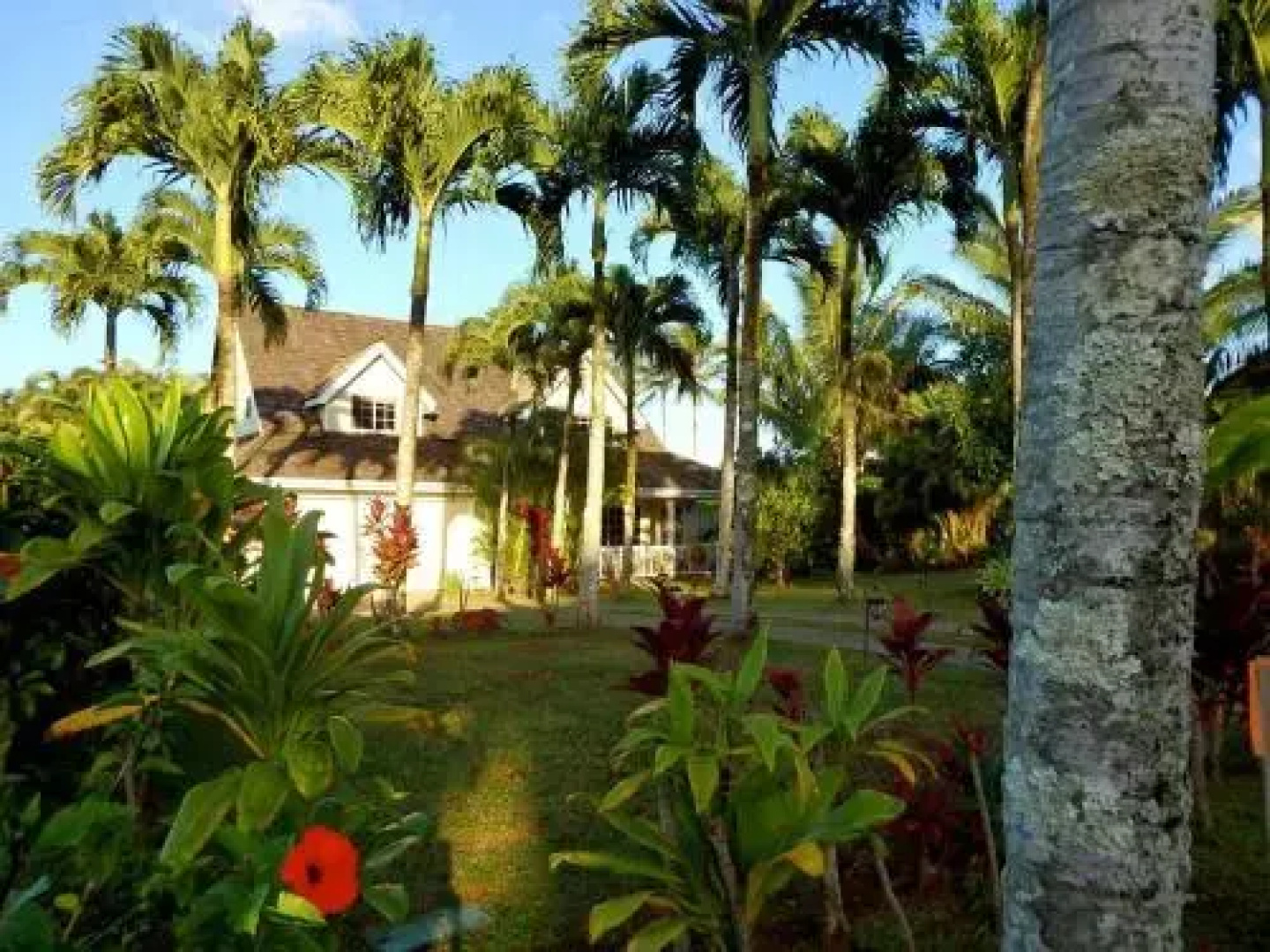 Paradise Pool Home