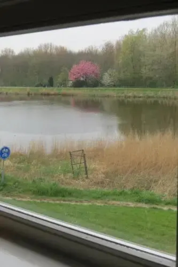 Villa Zomerdijk