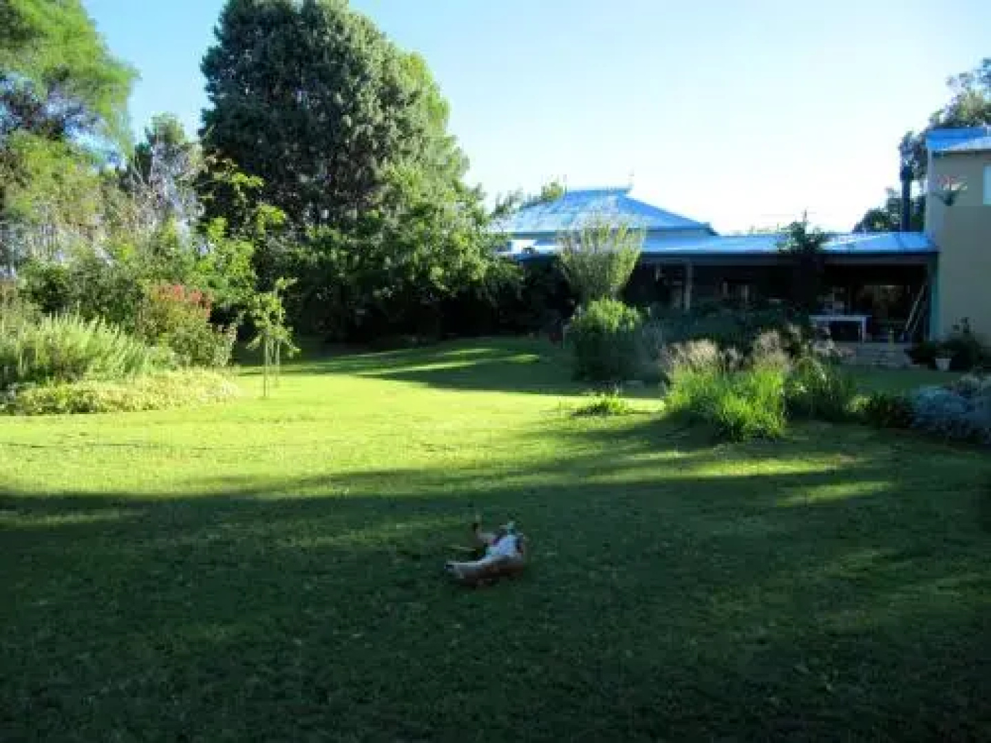 Bluegum Cottage B&B and Self Catering