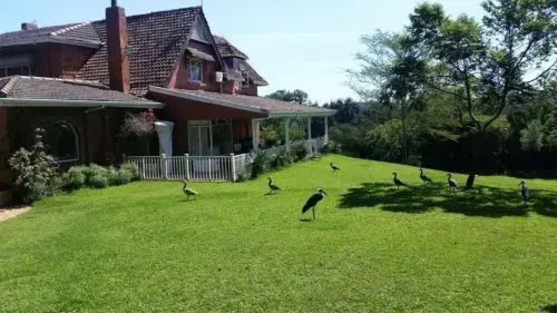 18 Pioneer Kloof