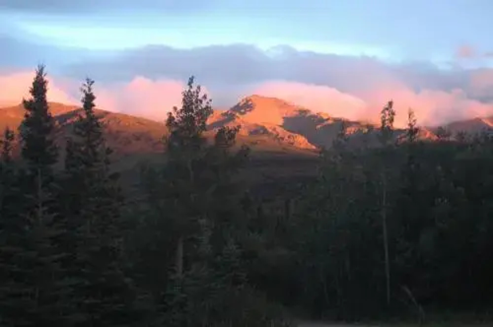 Denali Nightly House Rentals