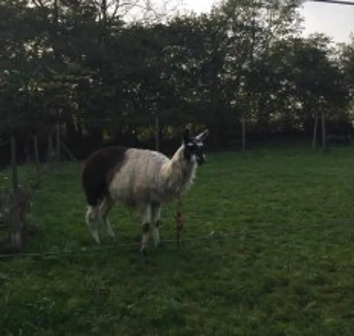 Fyrtarn Tommerup Hostel