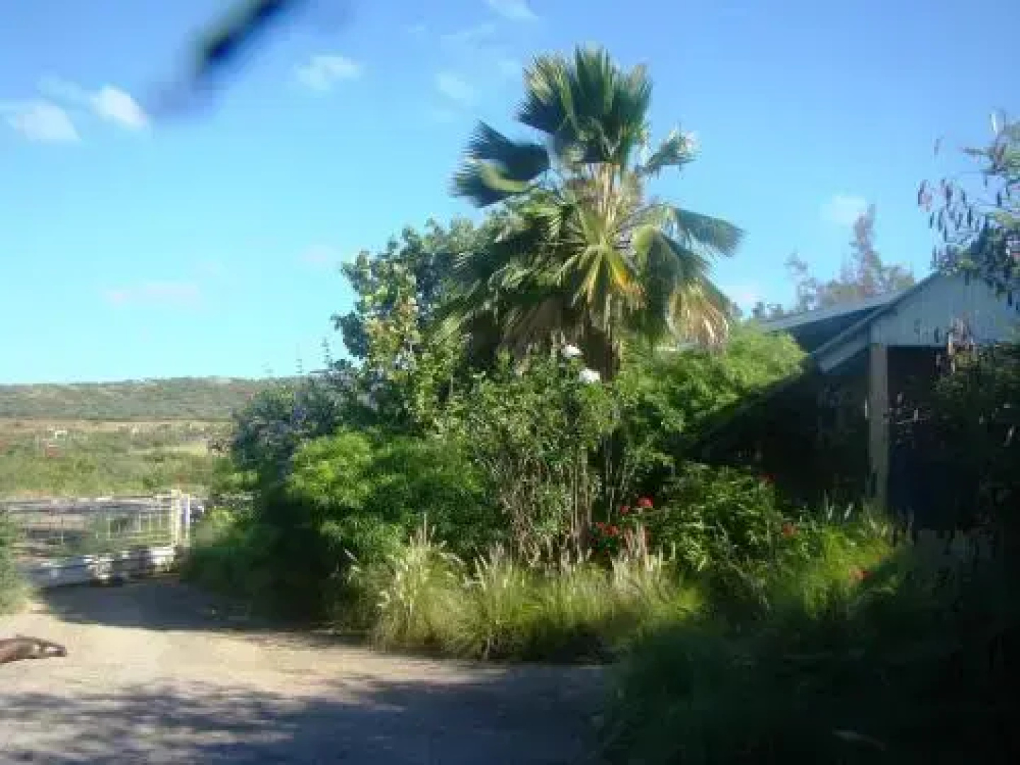 Bed & Breakfast, Land-house with Yoga-specials.