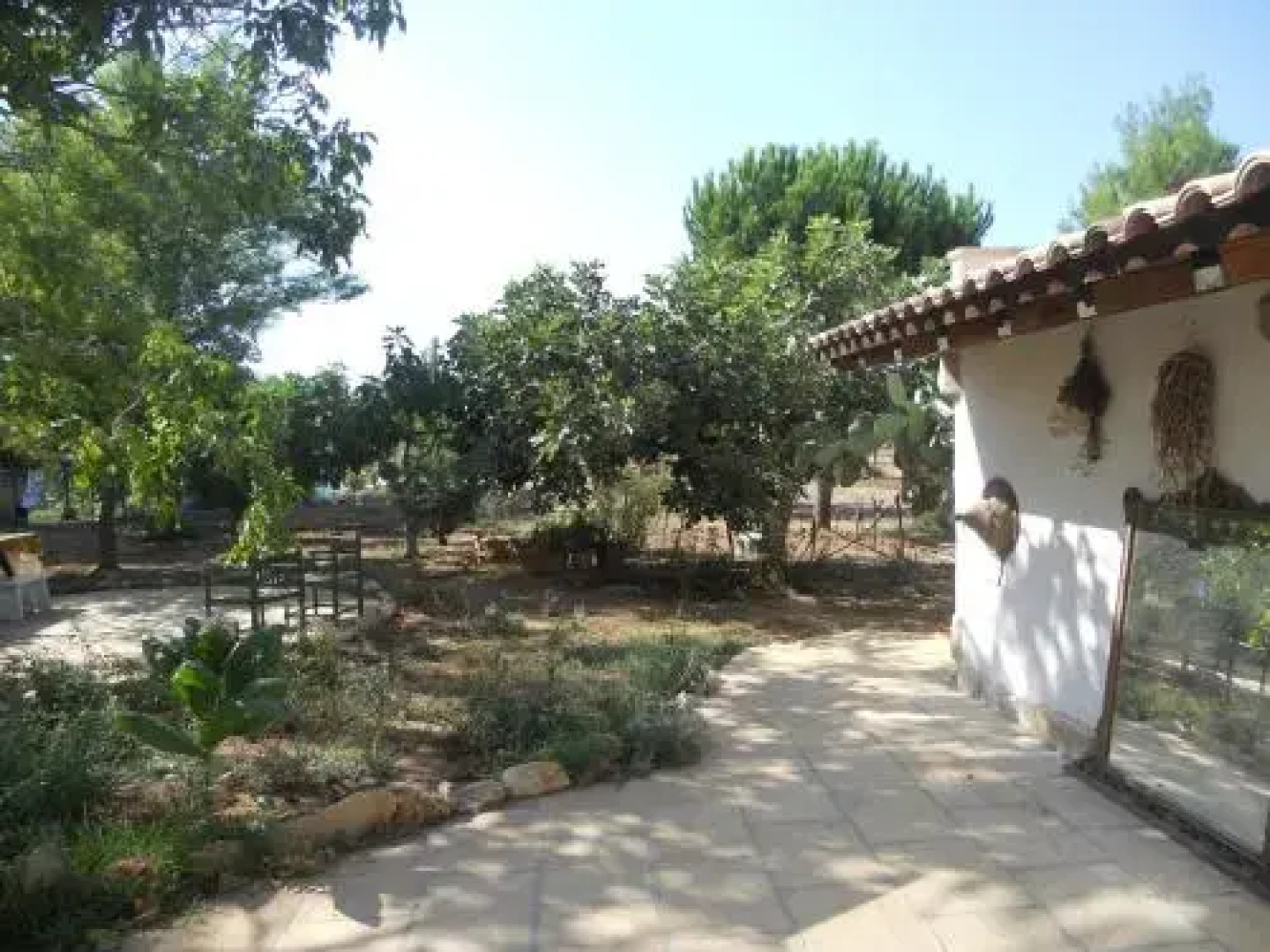 Masseria Le Palmentelle