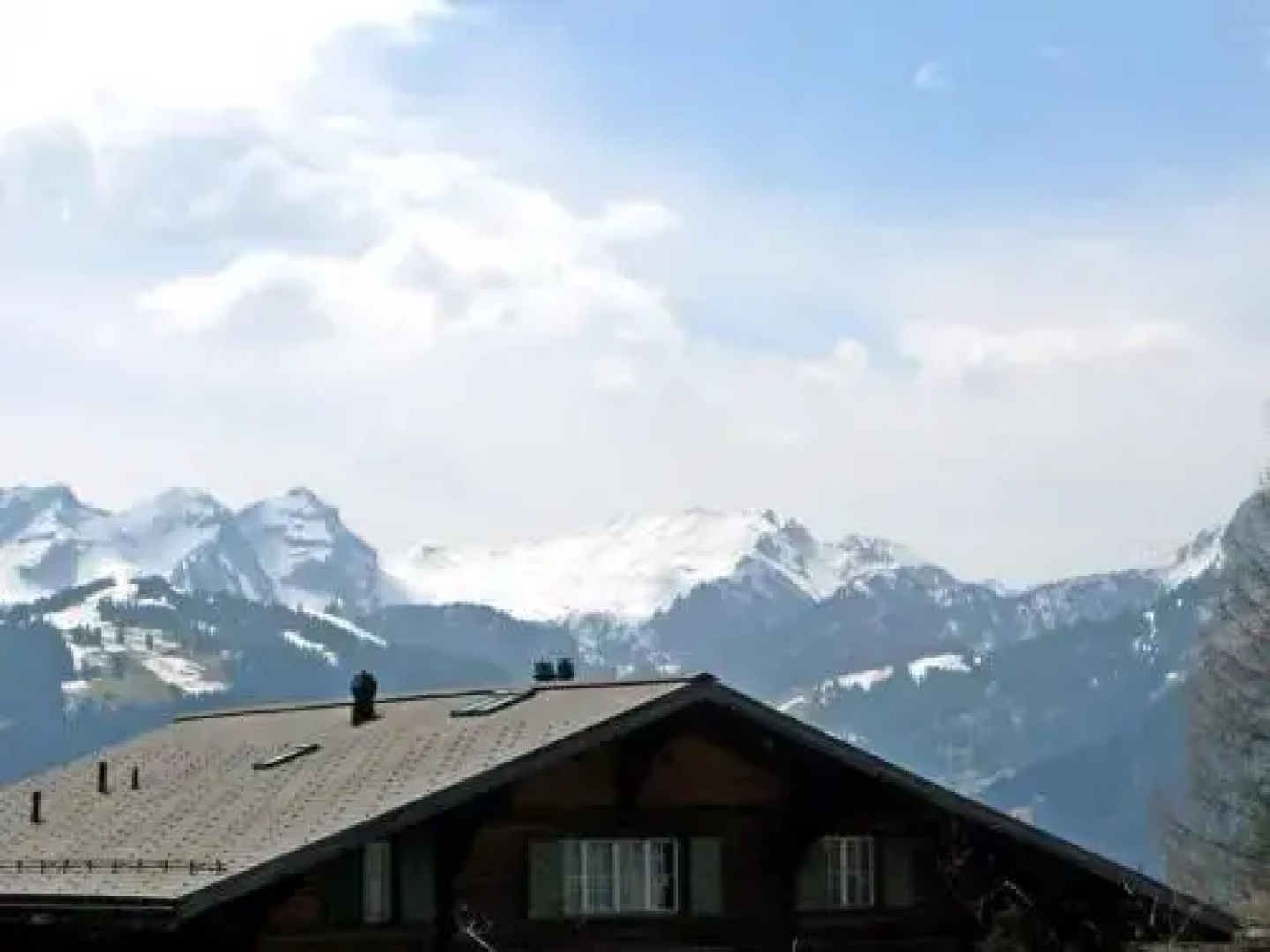 Saanen (utoring) - Inh 25200