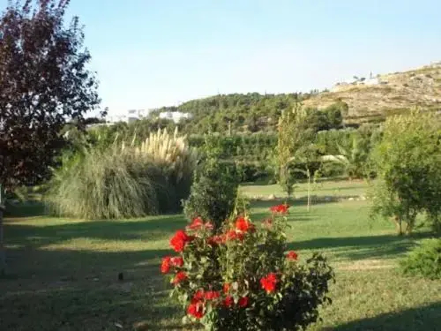 La Piana Di Calena