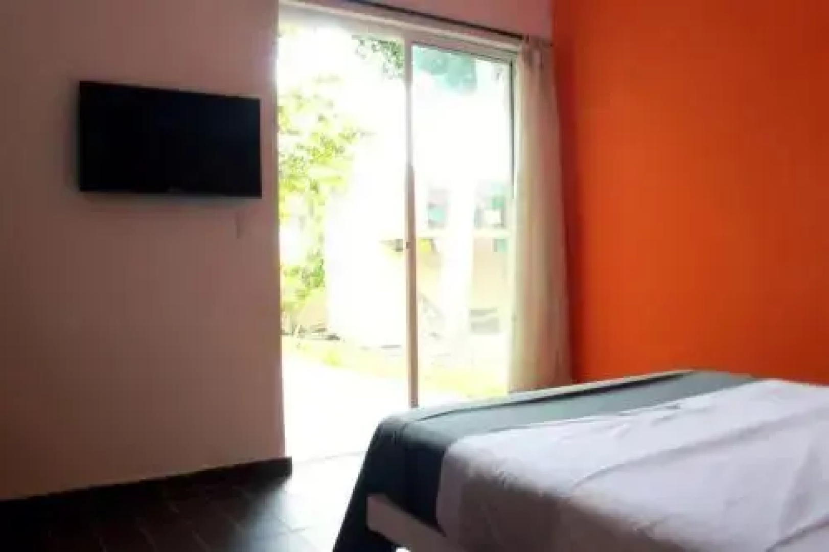 Color Hostel Palomino