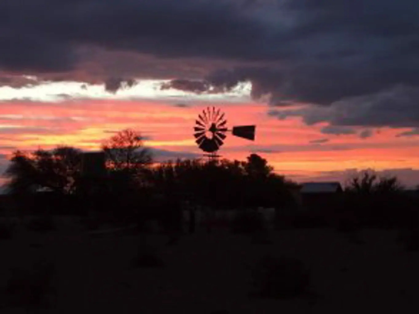 Bougain Villa Guesthouse