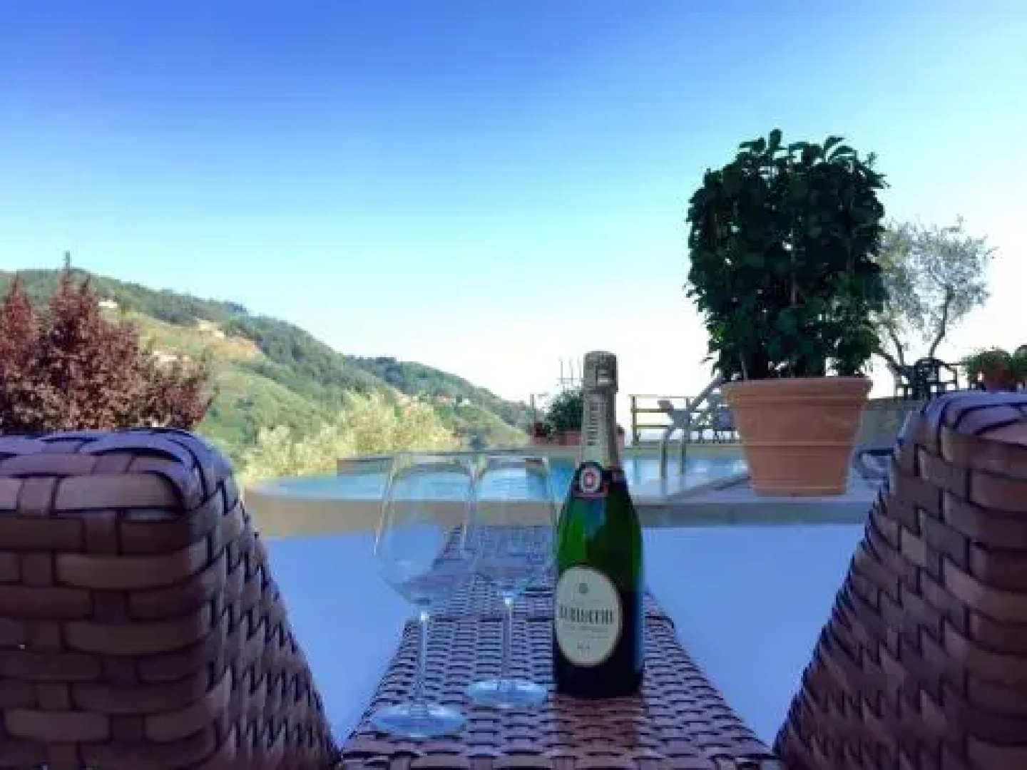 Podere Scoglio DOro