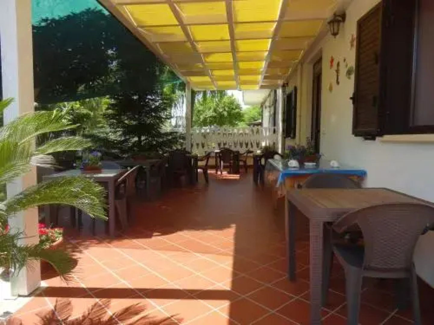 Il Vecchio Pescatore