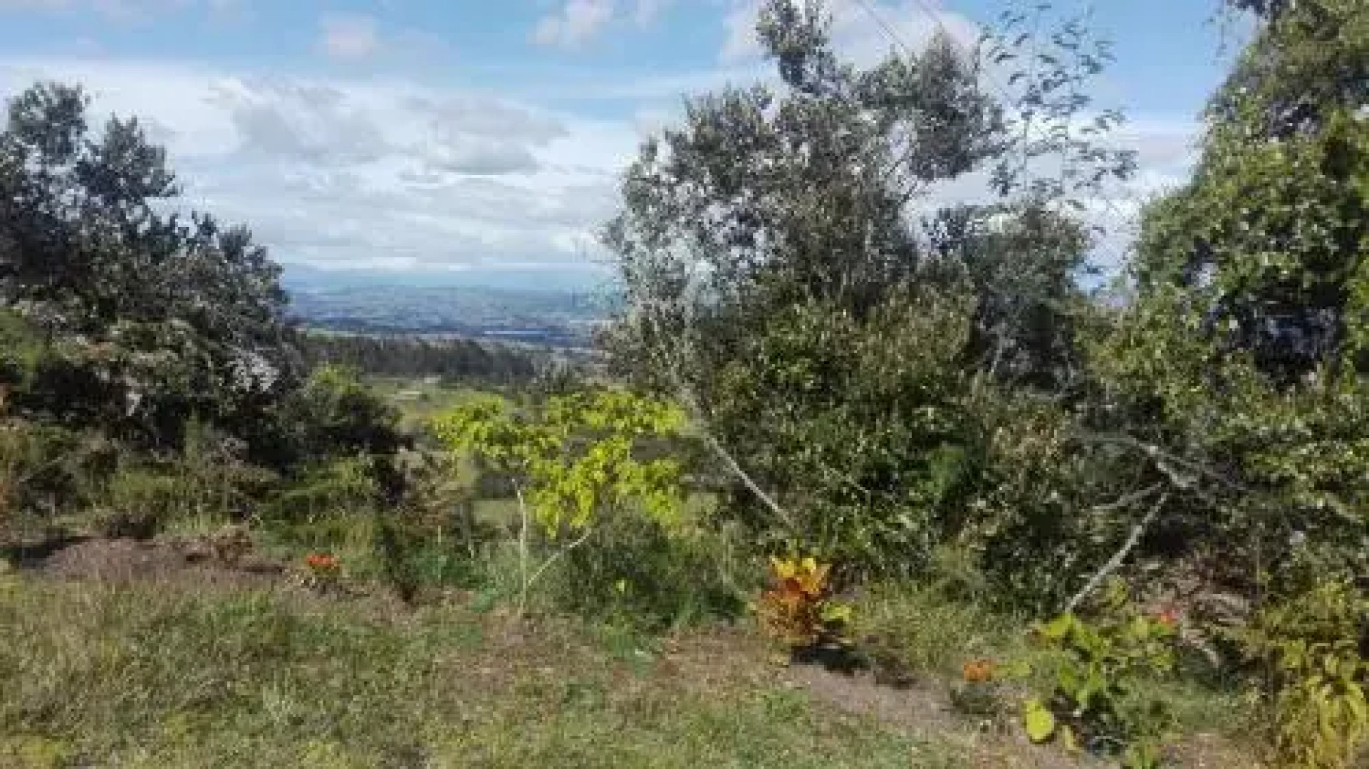 Hotel Restaurant Casa Loma