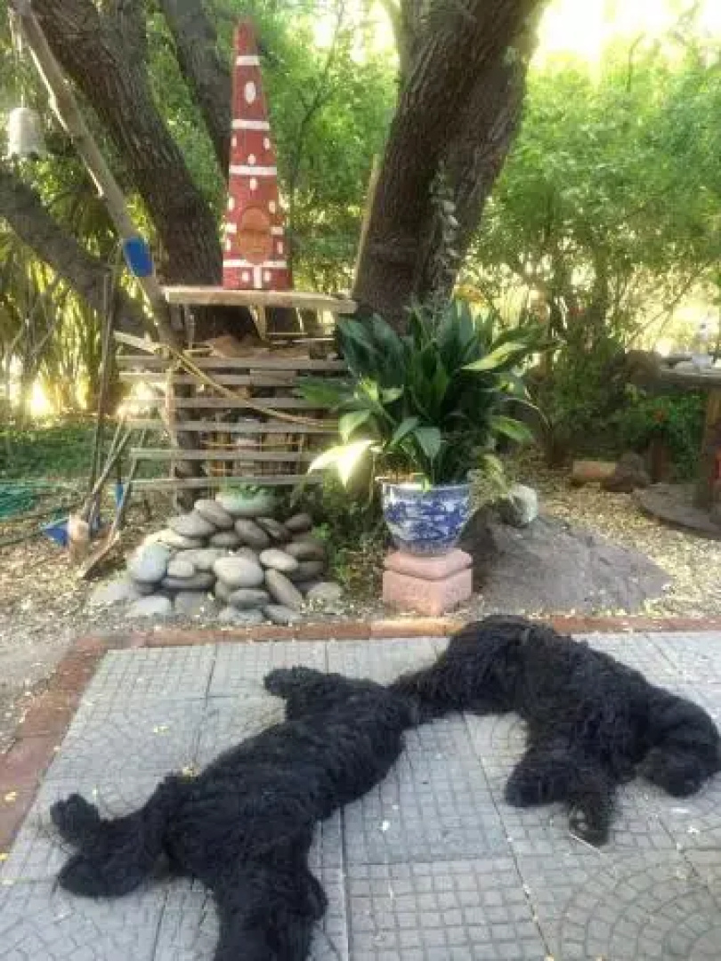 Maipo Shanti Lodge