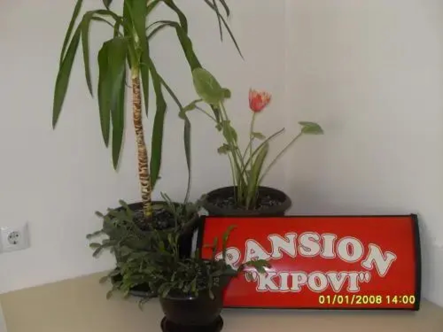 Pansion Kipovi