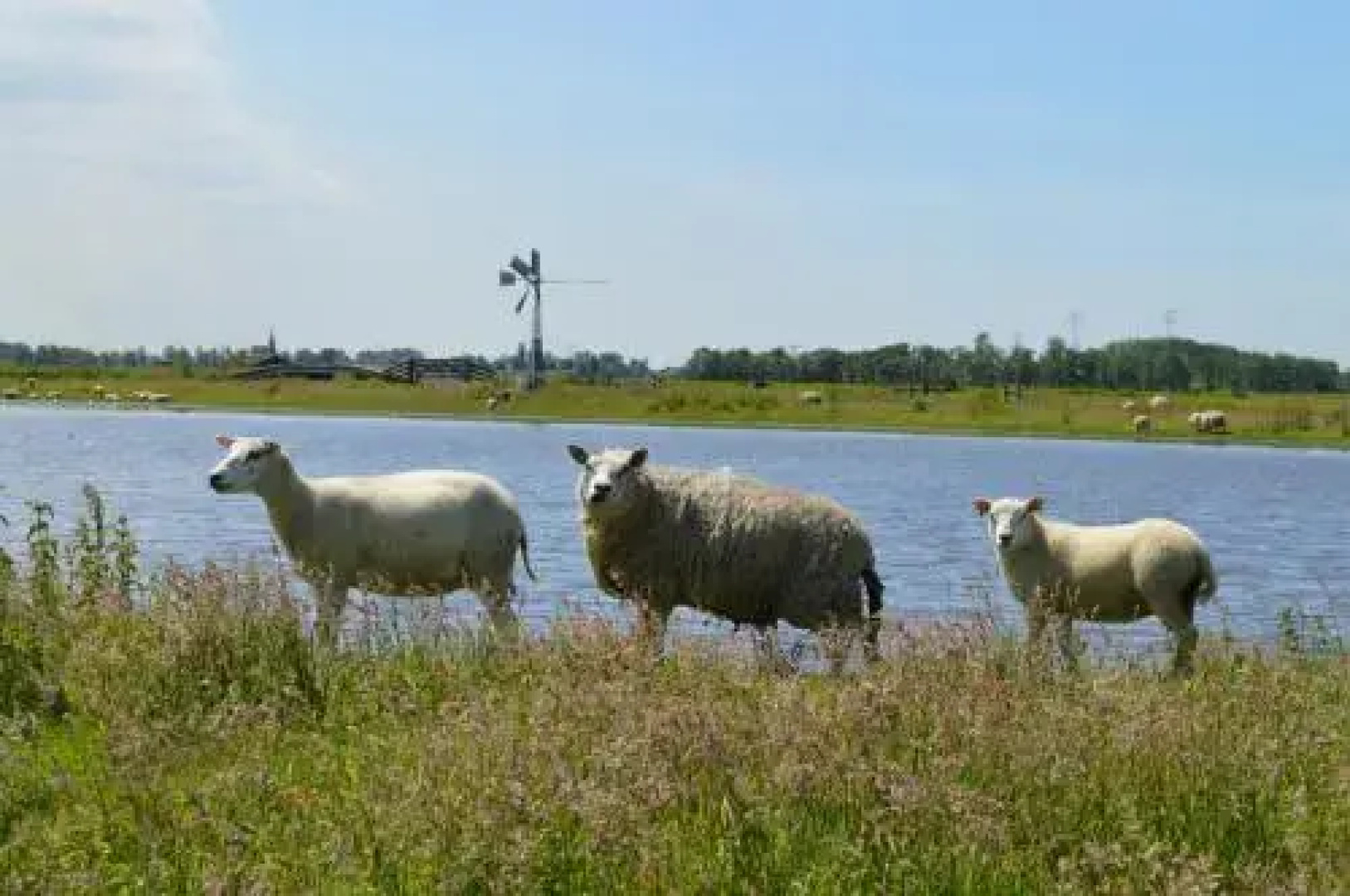 Vakantiehuis Meerzicht