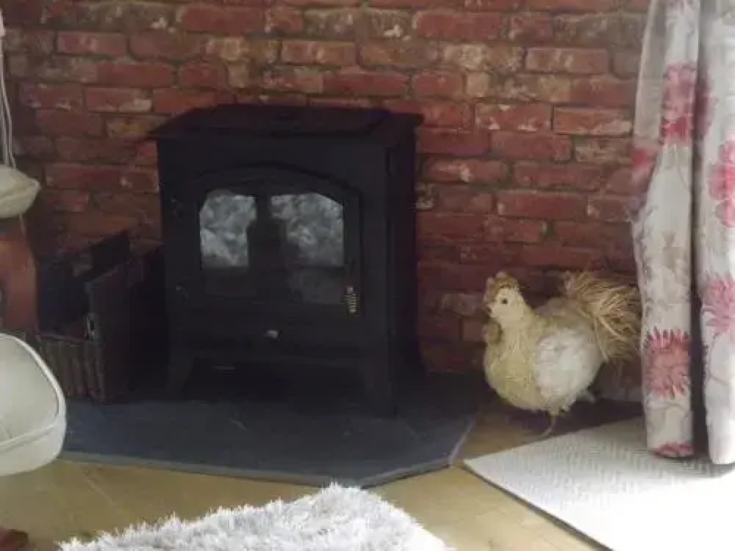 Robin Holiday Cottage