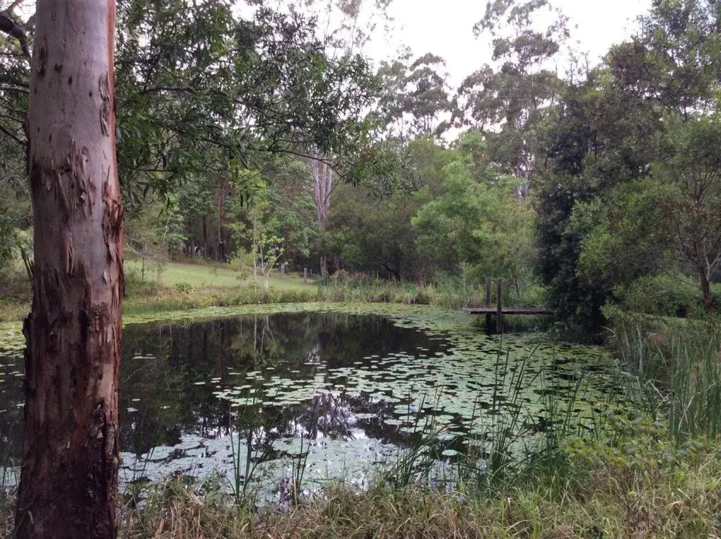 Maleny Country Cottages