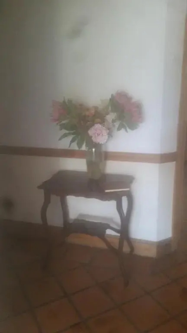 Three oaks B&B