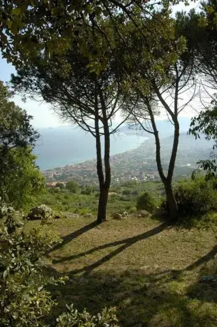 B&B Borgo Saraceno