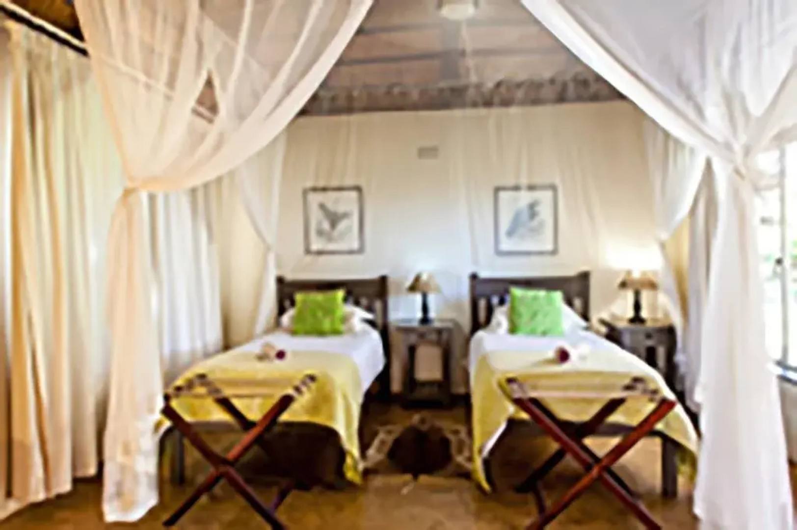 Botswana Tuli Game Reserve - Africa's Finest