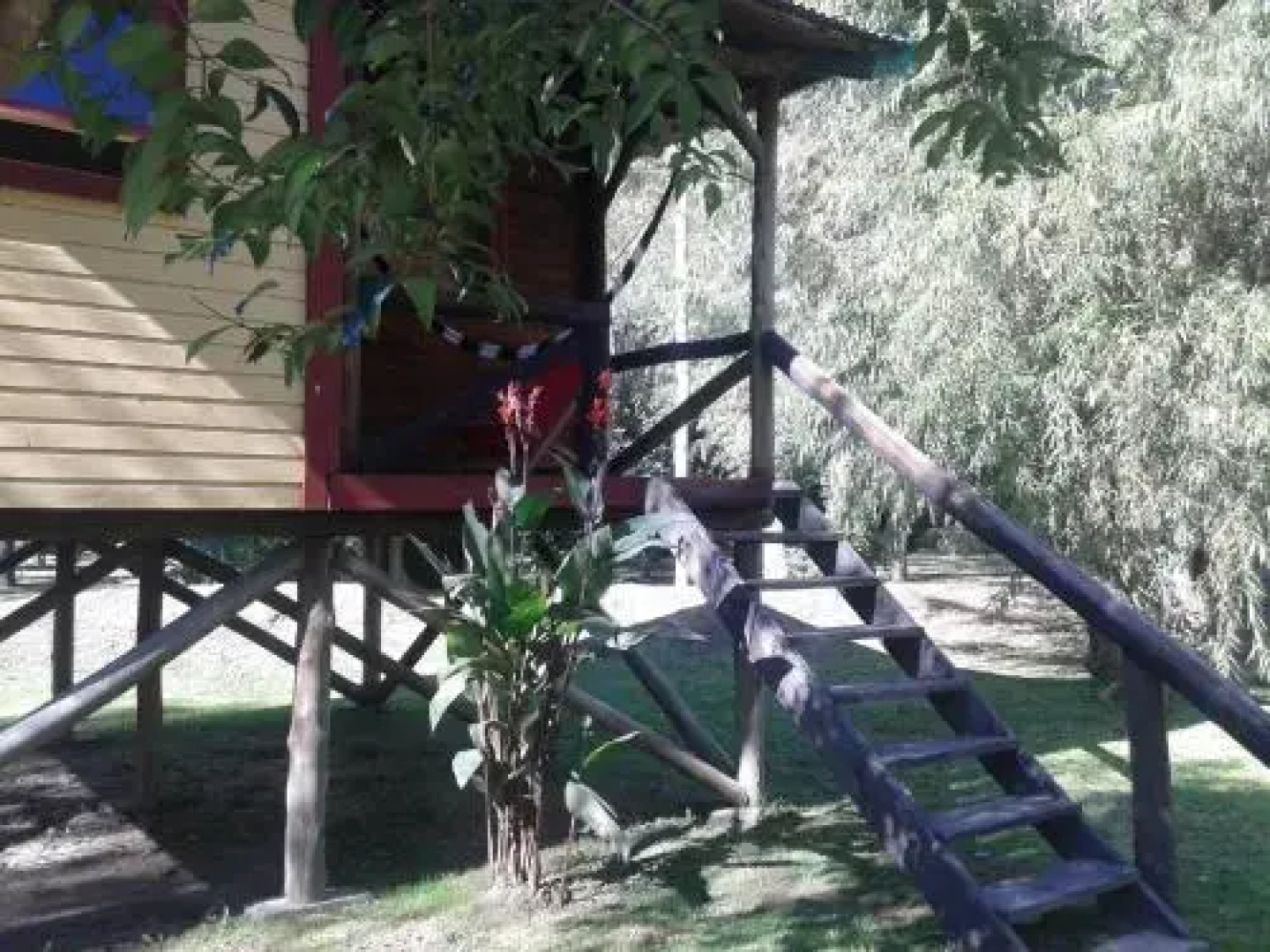 Cabañas Con Con