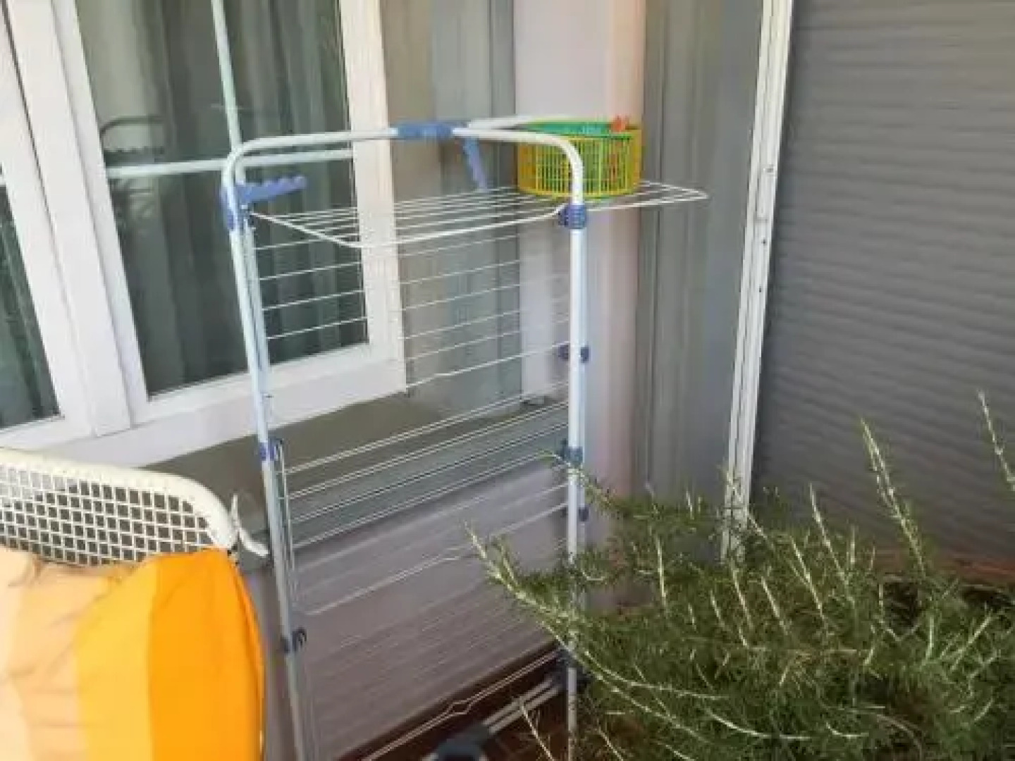 Swiss BB La Tartaruga