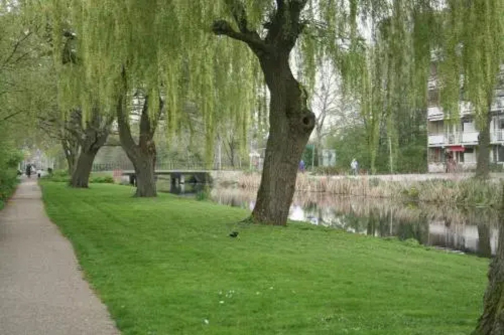 Cozy Suite Apartment Amsterdam