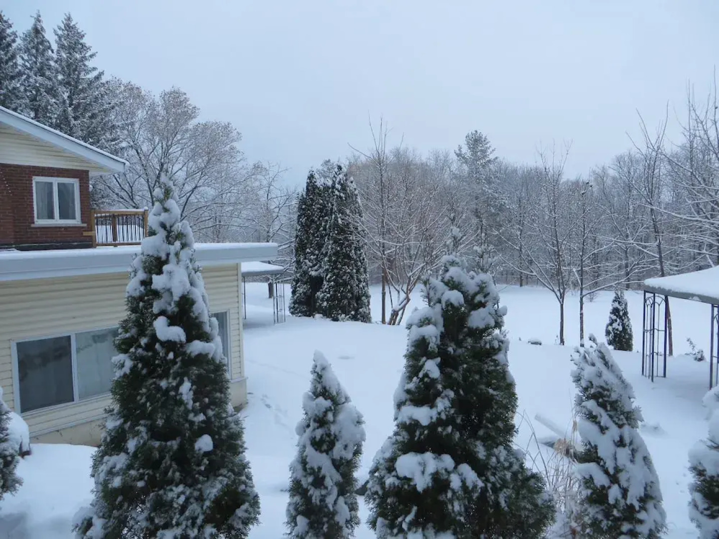 Centennial House Bed and Breakfast