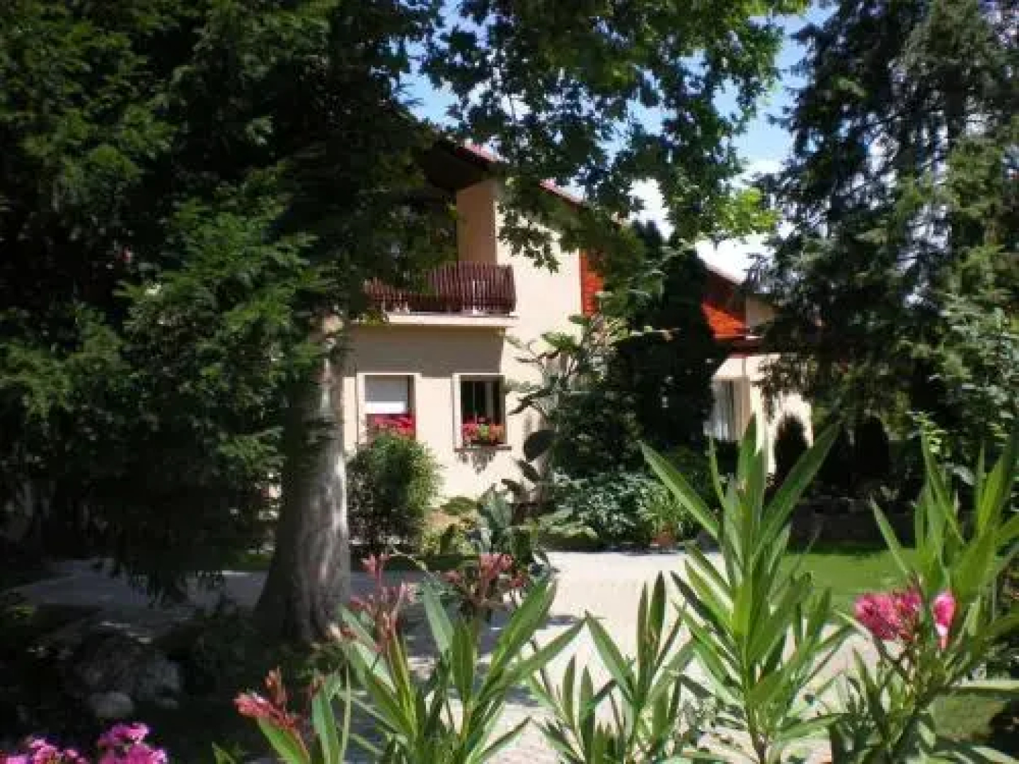 Aba Wellness House