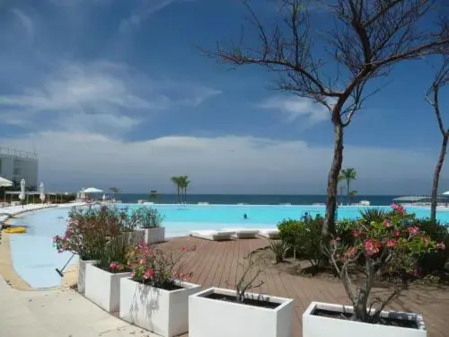 Vallarta Acqua Flamingos