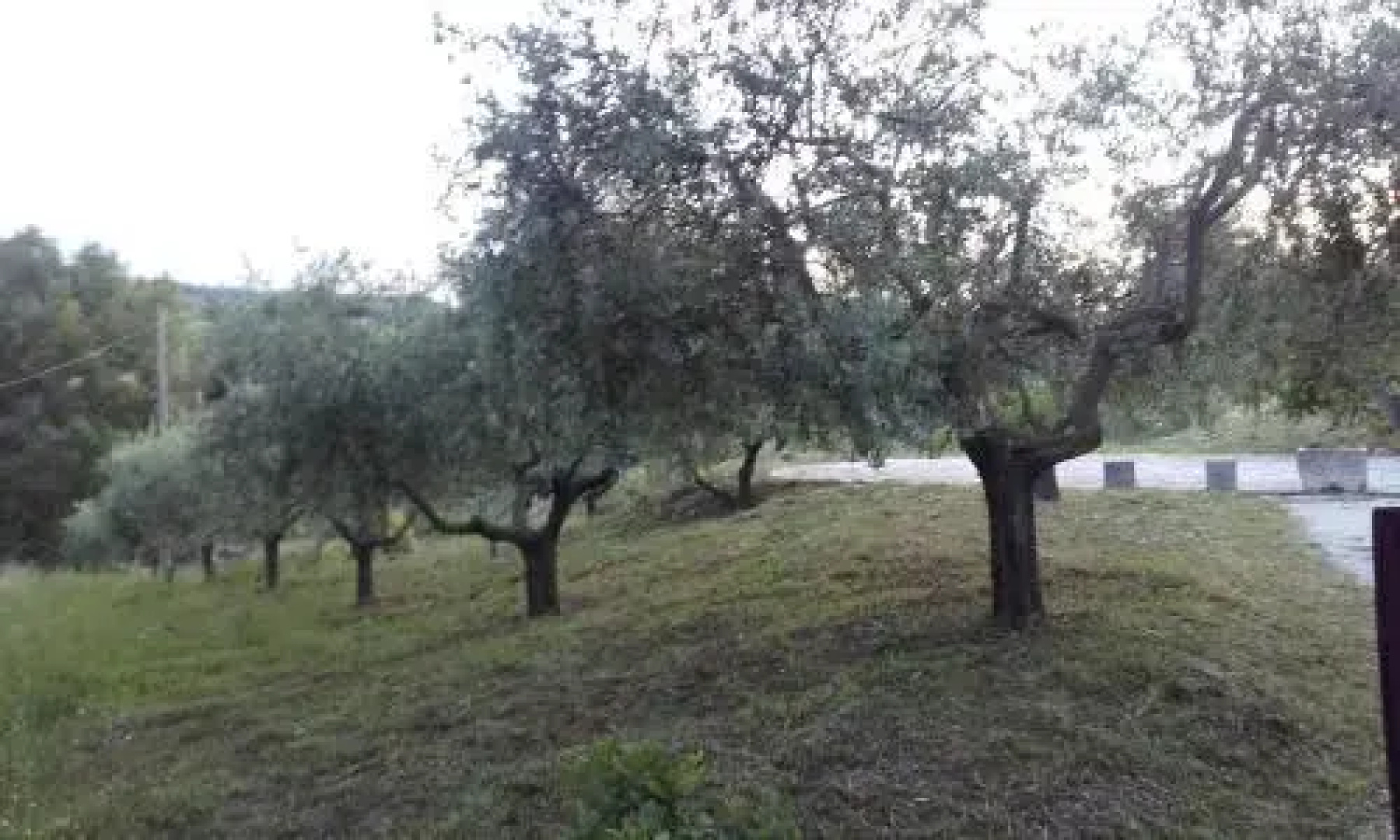 Bed & Breakfast Ciocca