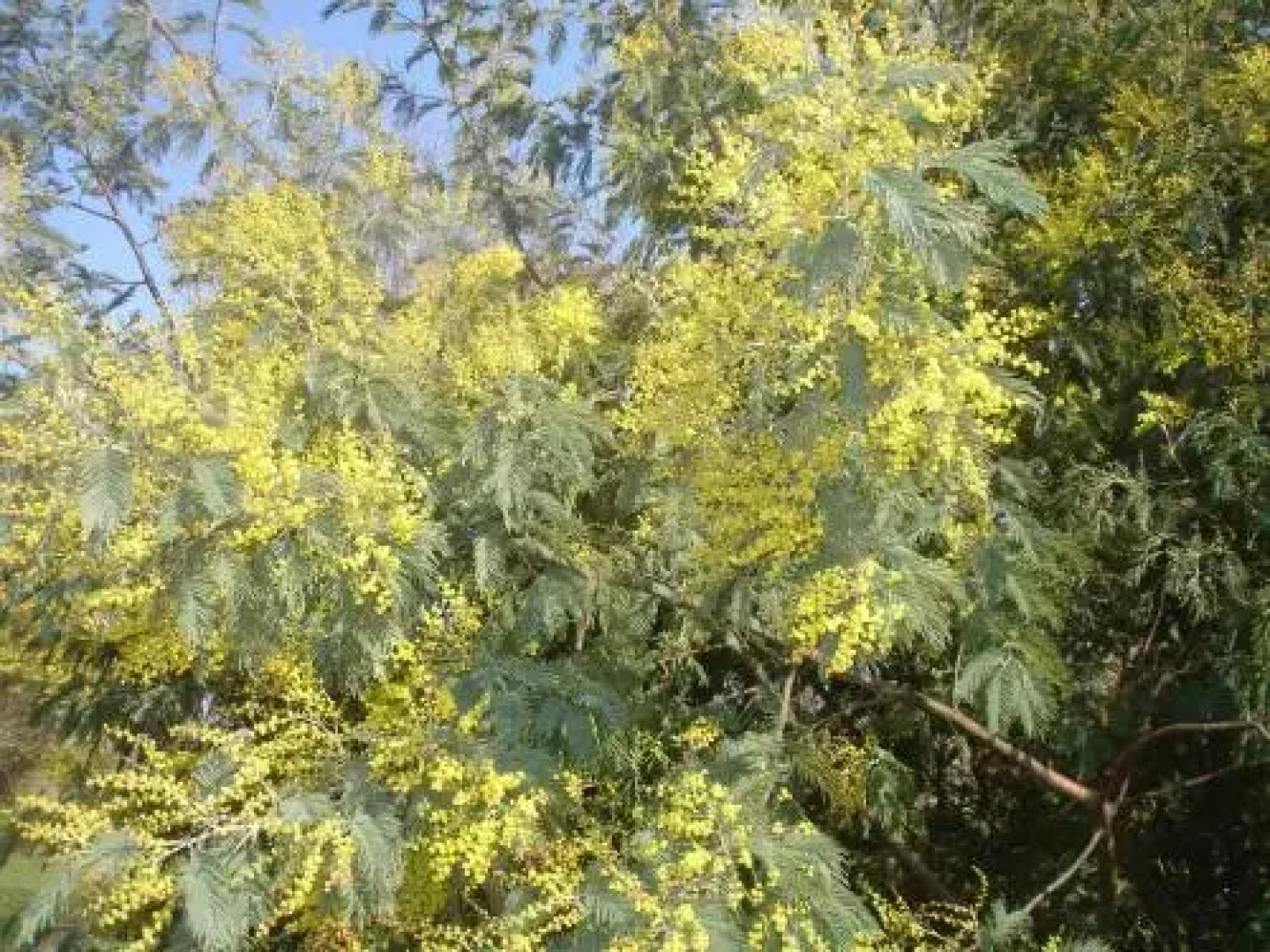 Domaine des Prés de Joussac