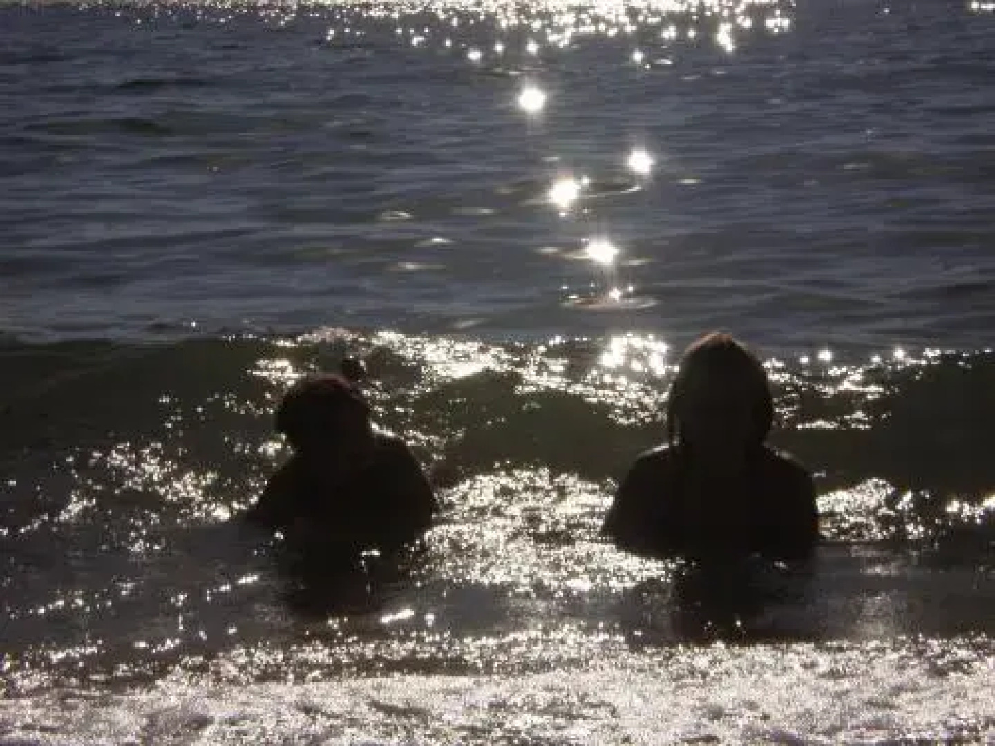 Holdfast Shores Apartments