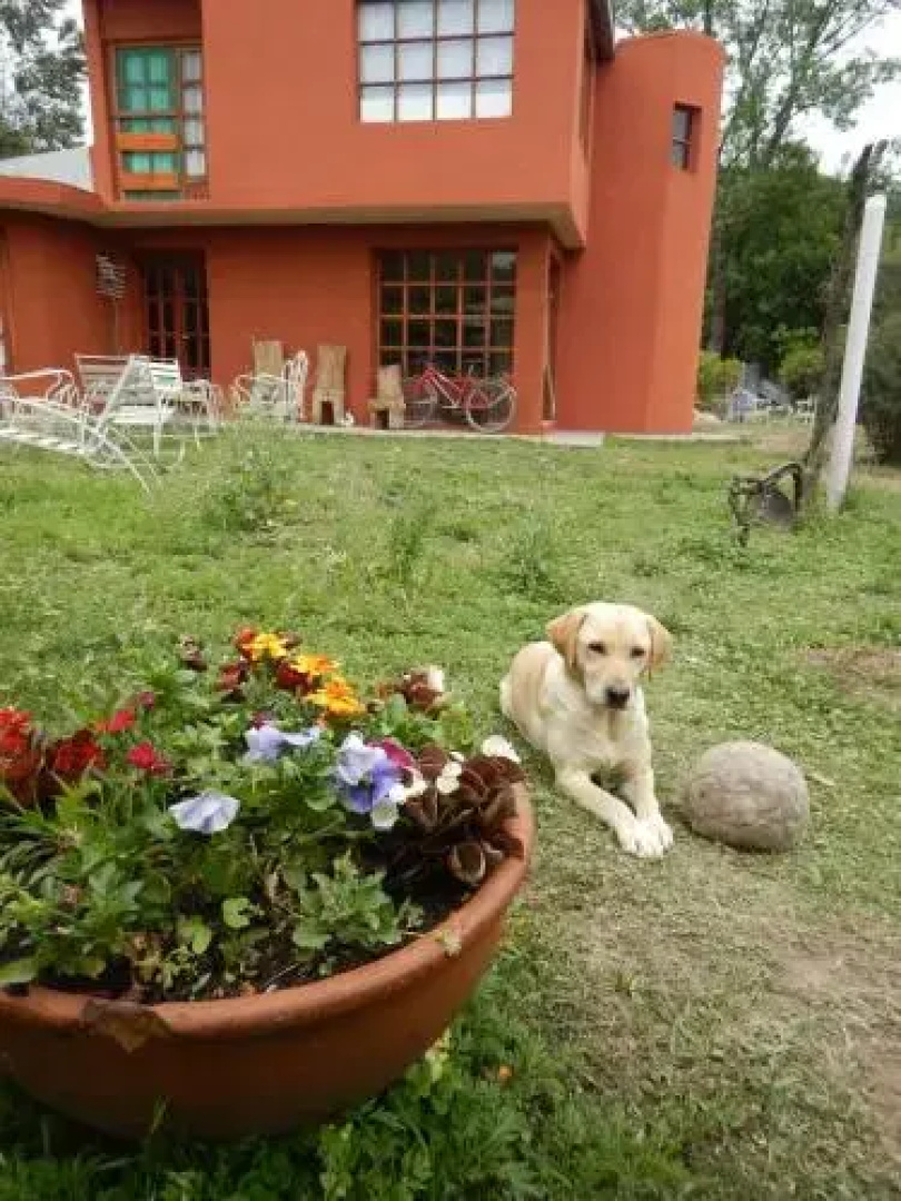 Casa Pueblo