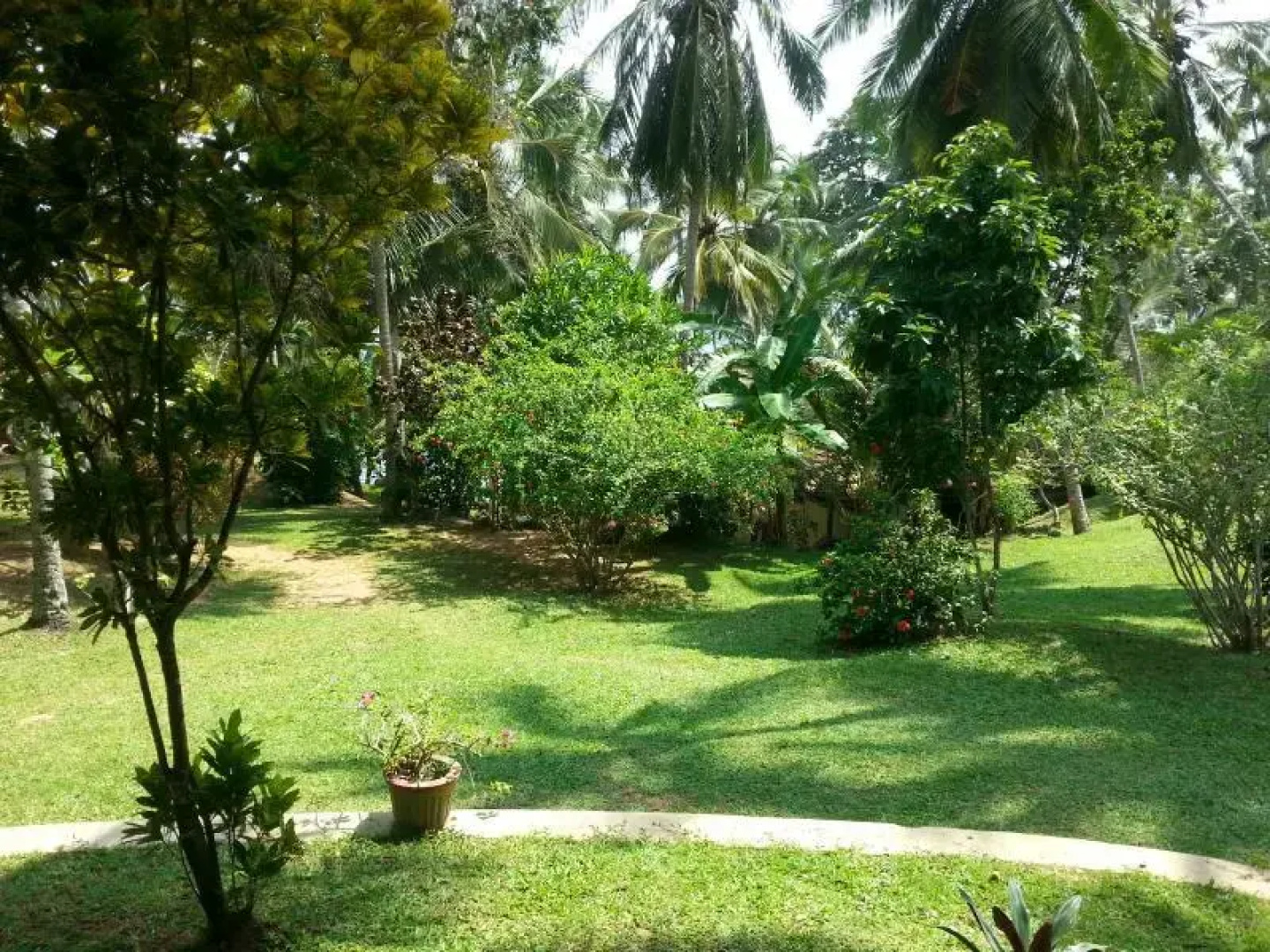 Rocky Point Beach Bungalows