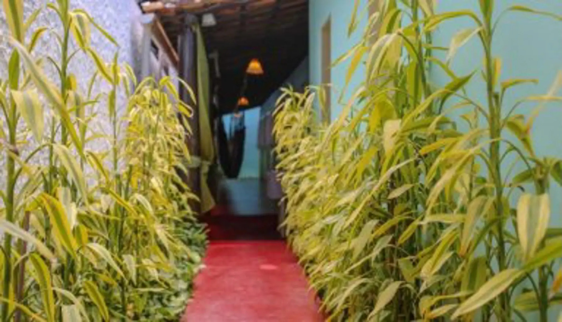 Pousada Hostel Lua Mar Arraial