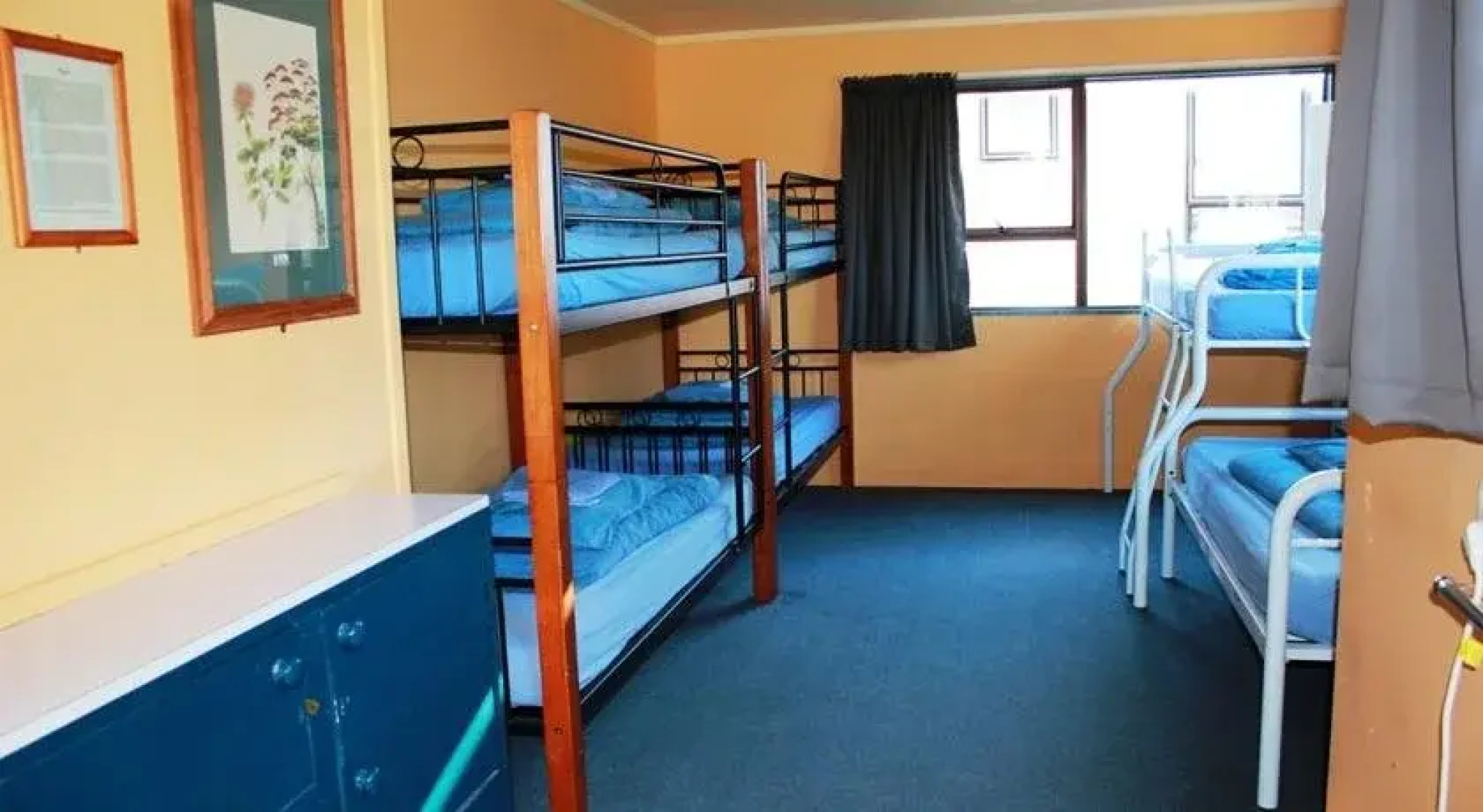 YHA Tauranga