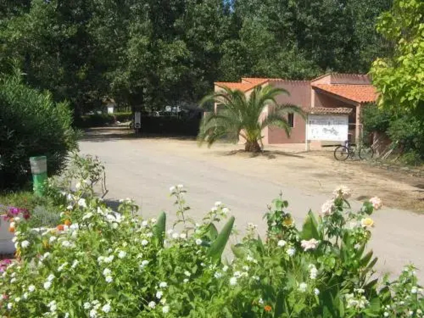 Camping Benista