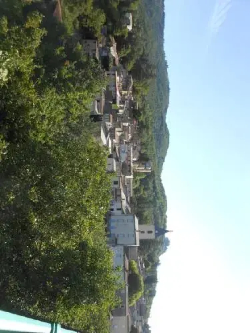 Le Merlanson