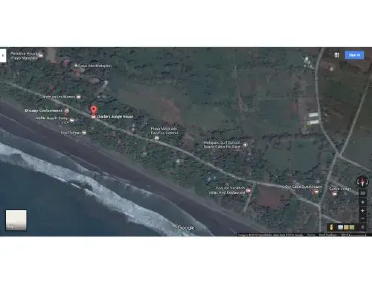 Charlie's Jungle House