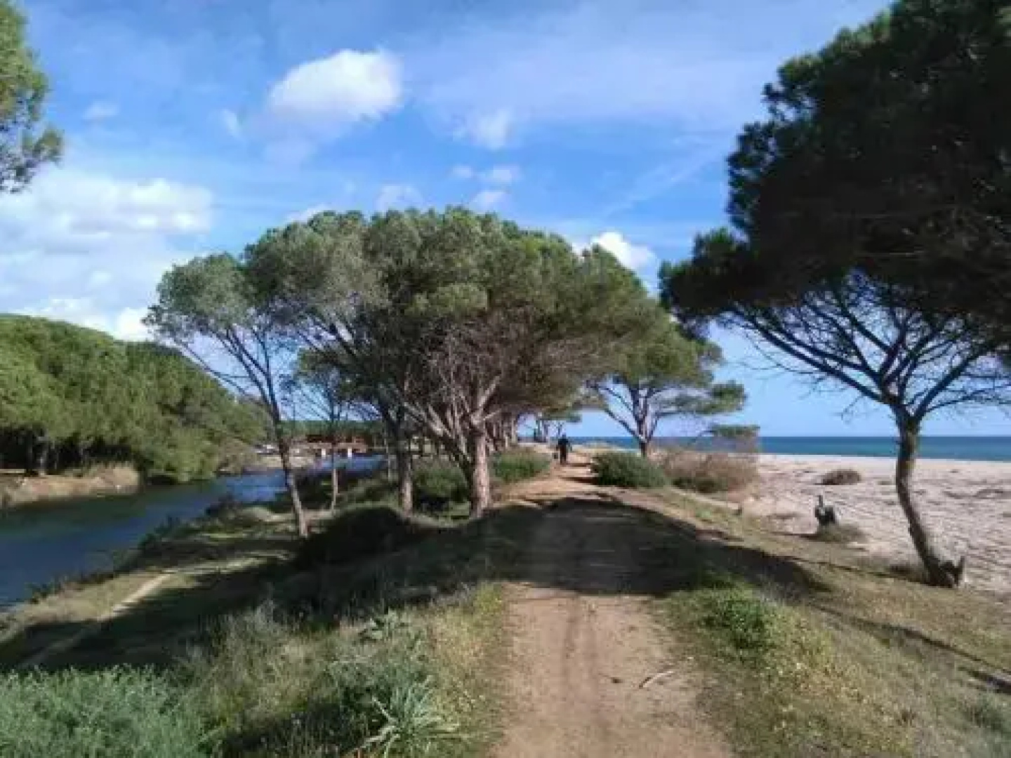 La Ginestra