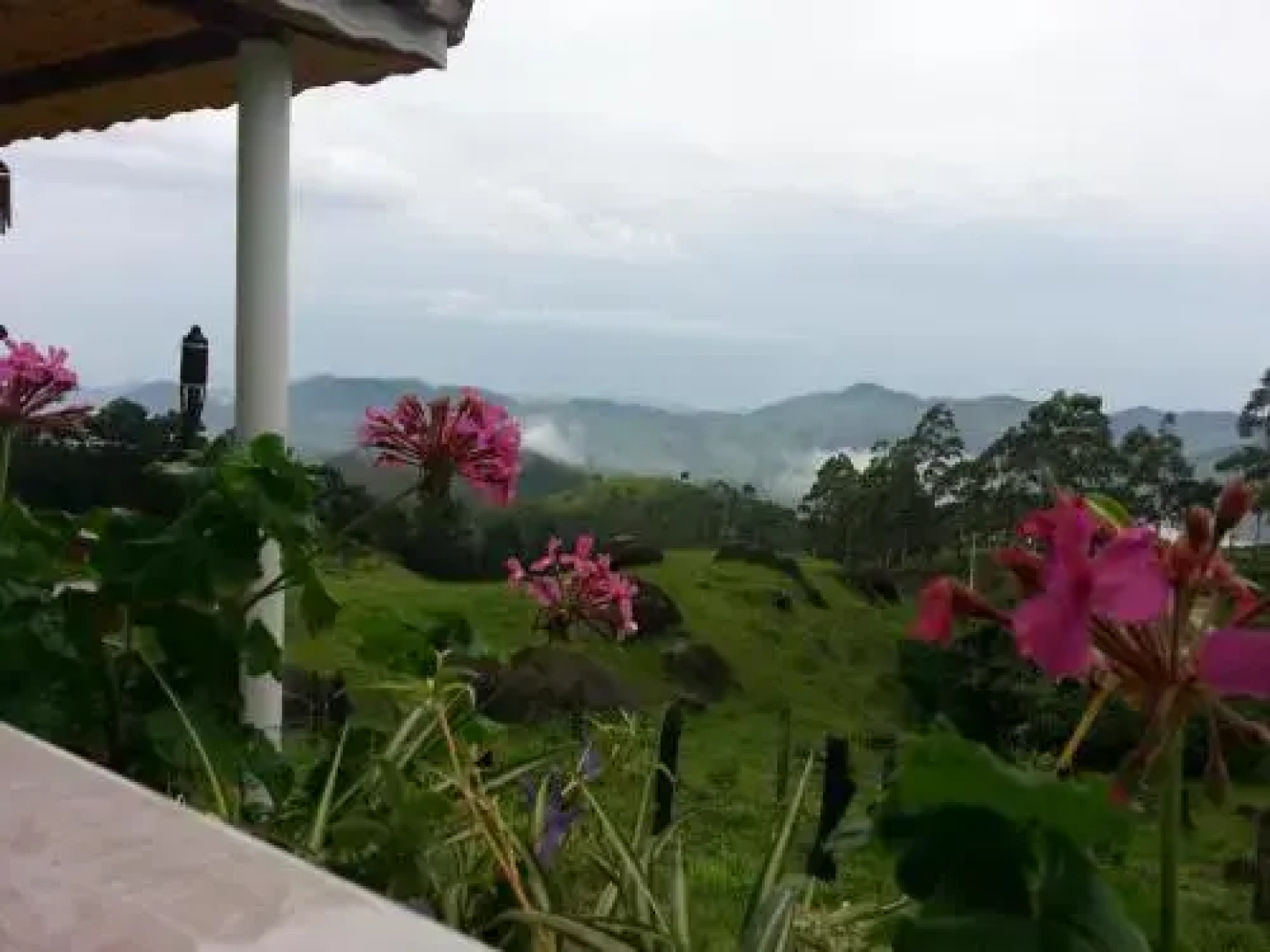 Fazenda Monte Verde A Morada do Muriqui