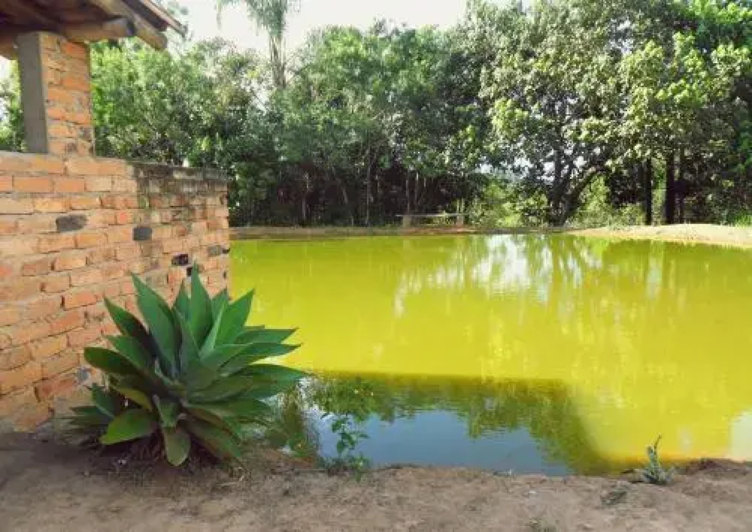 Fazenda Da Pedra