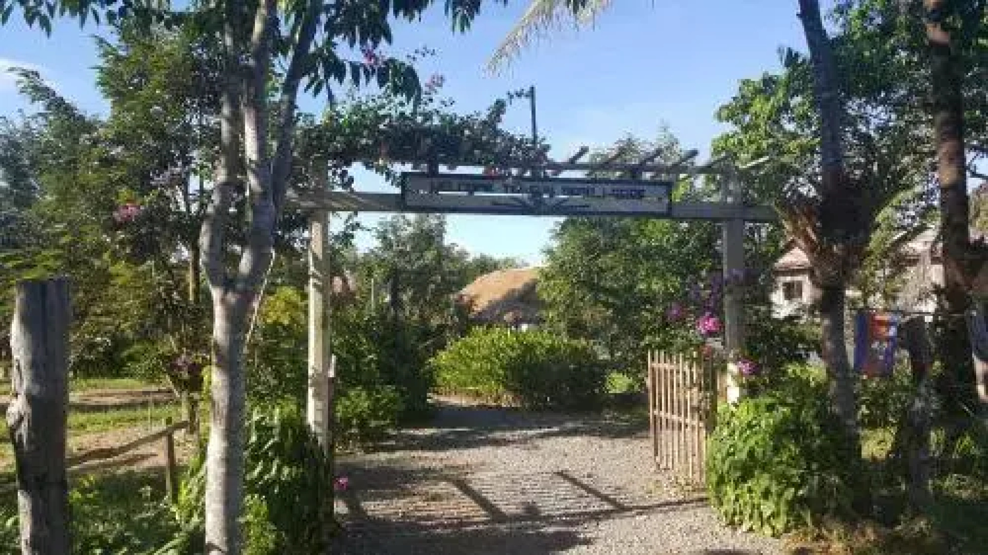 Sun Bear Bungalows