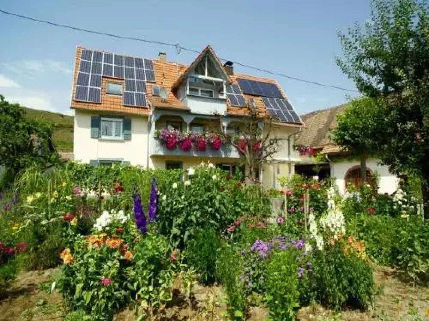 Winzerhof Bitzenhofer