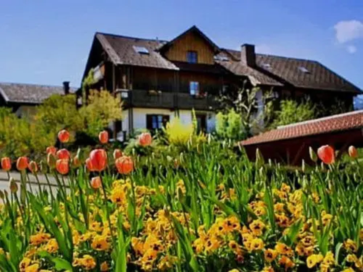 Haus Gertrud Ferienwohnungen