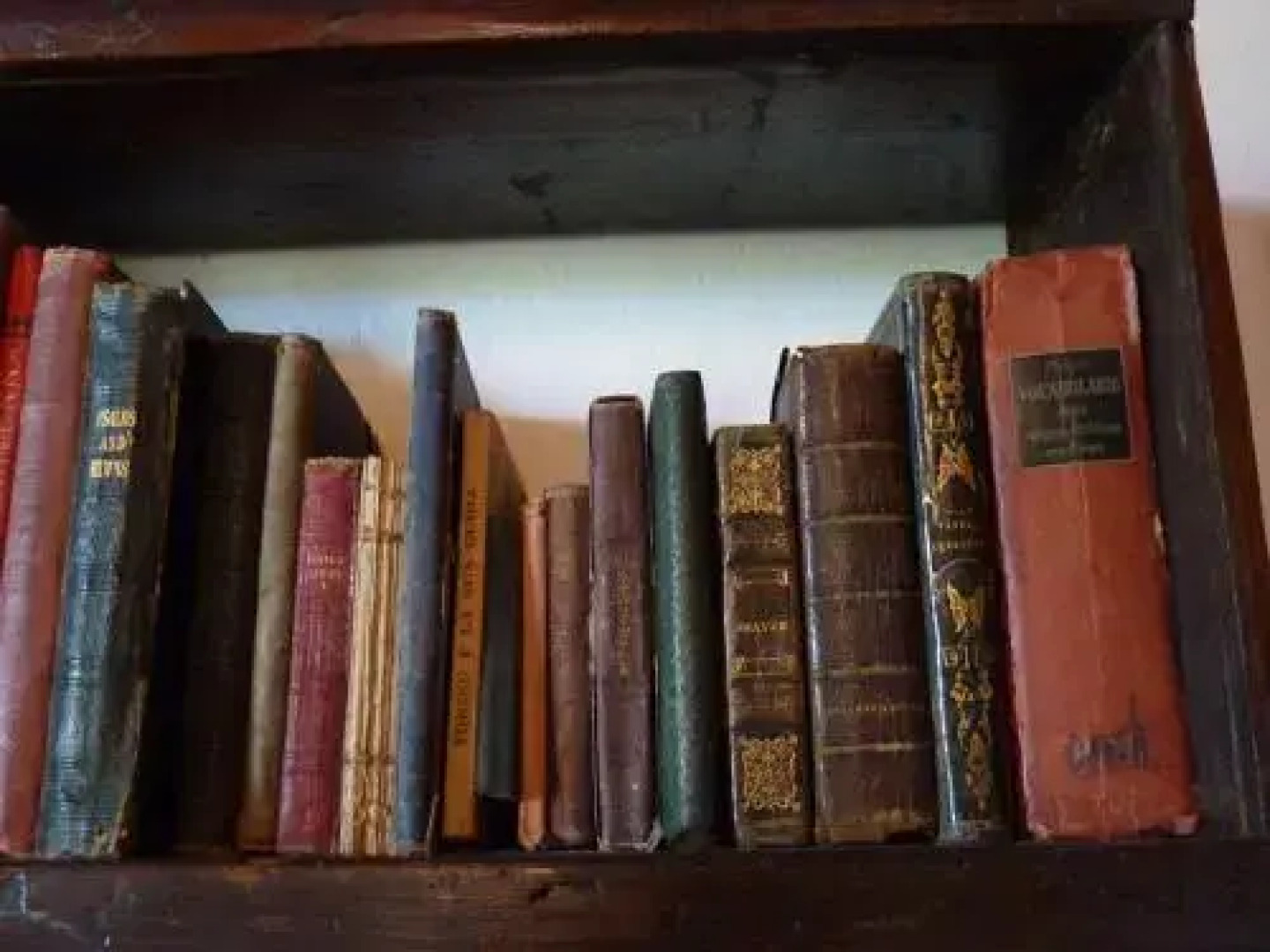 Agriturismo La Pineta