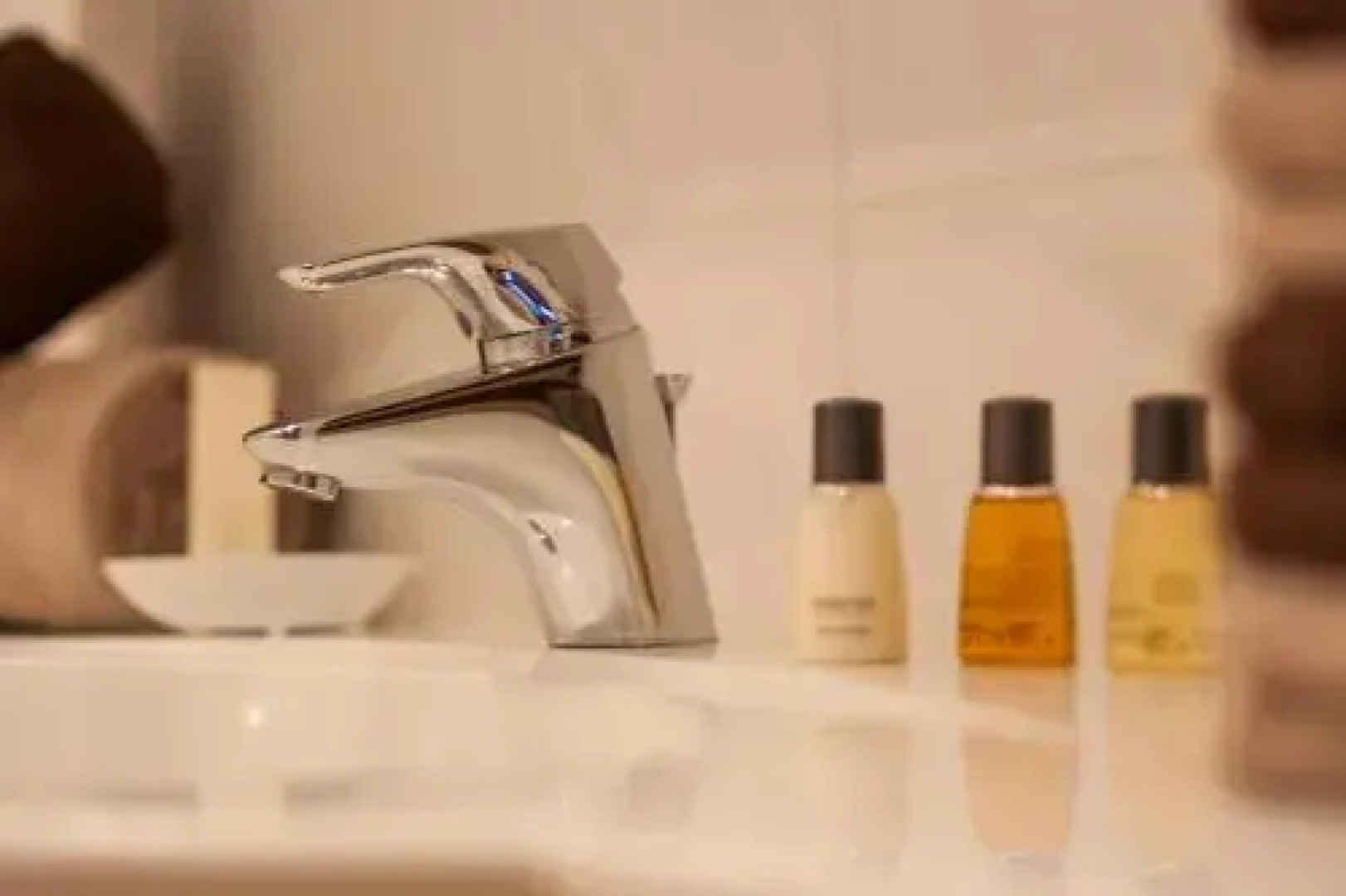 Premium Fewo Lachmöwe